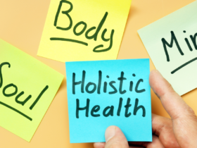 holistic health care uses therapies from biomedical complementary and what other source
