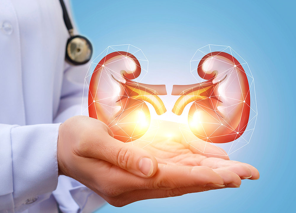 what supplements are good for kidneys